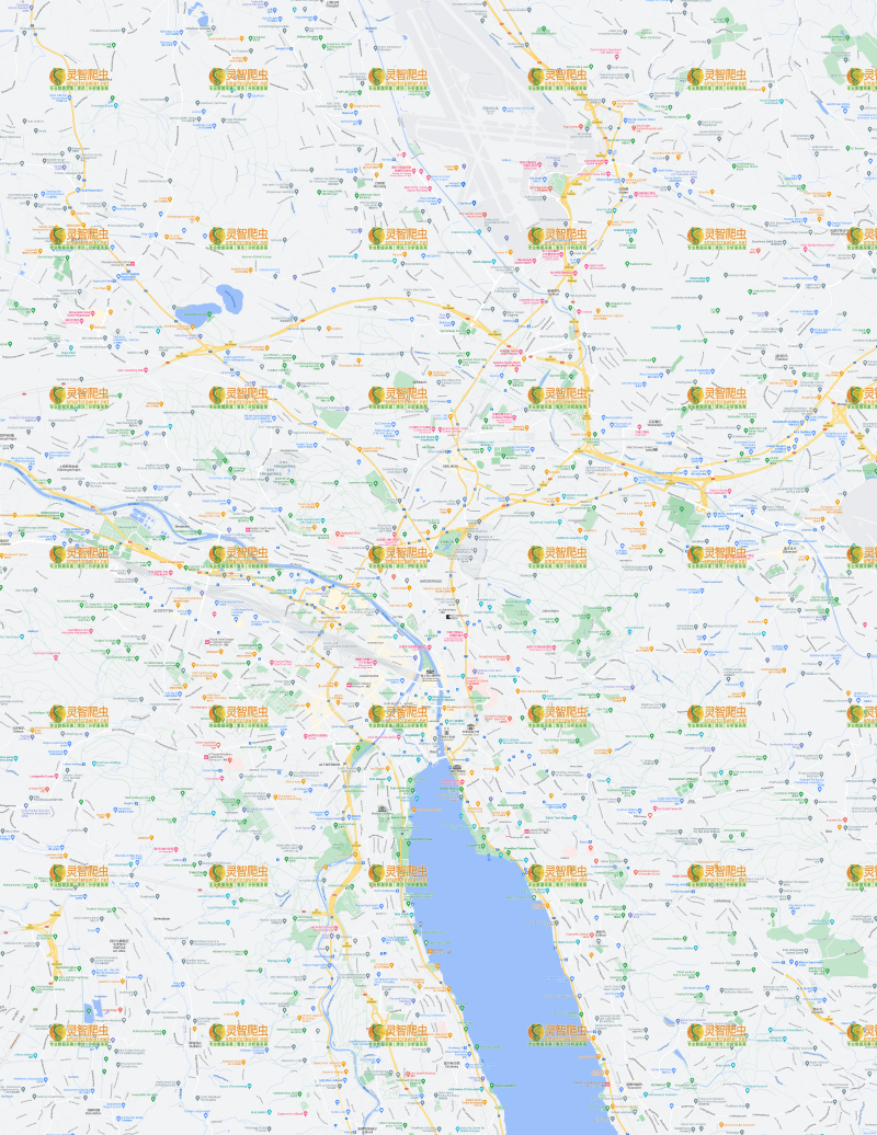 瑞士 苏黎世 Google 谷歌 高清地图