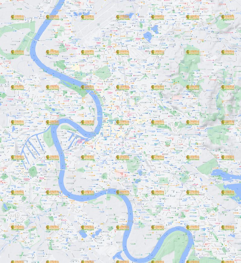 德国 杜塞尔多夫 Google 谷歌 高清地形图