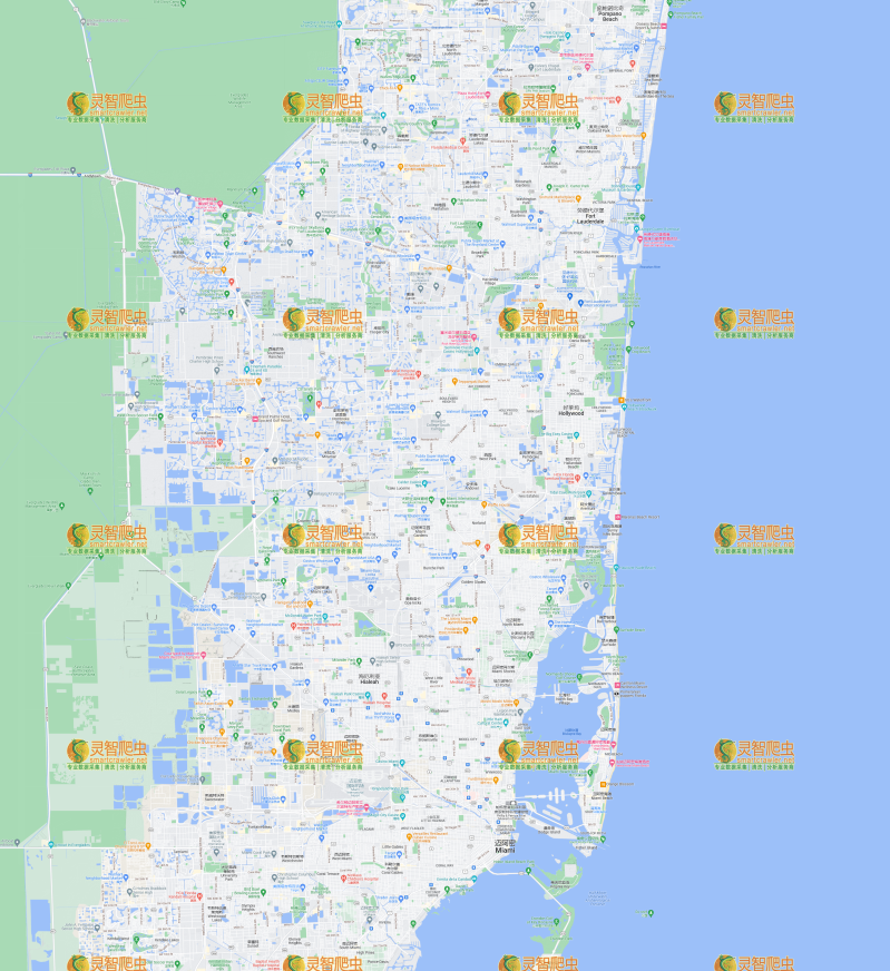美国 迈阿密 Google 谷歌 高清地形图