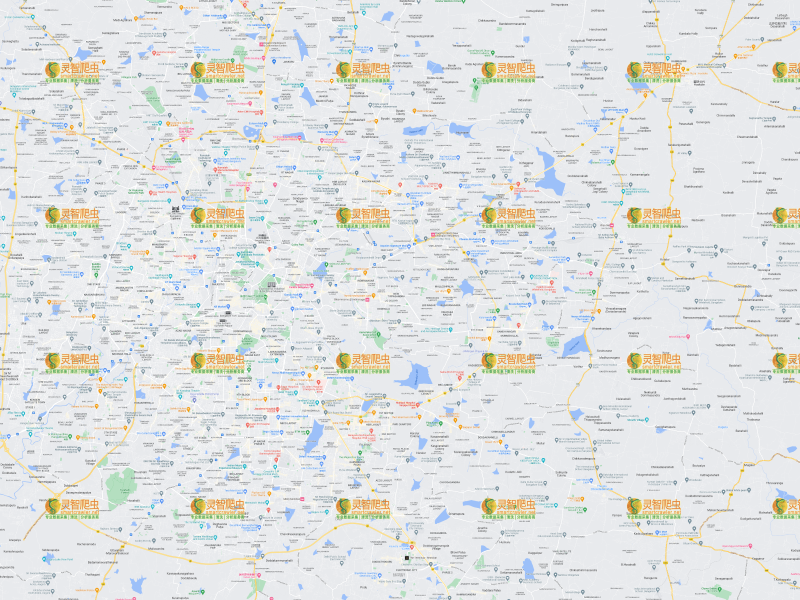 印度 班加罗尔 Google 谷歌 高清地图