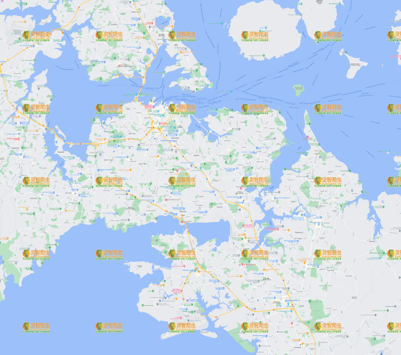 新西兰 奥克兰 Google 谷歌 高清地图