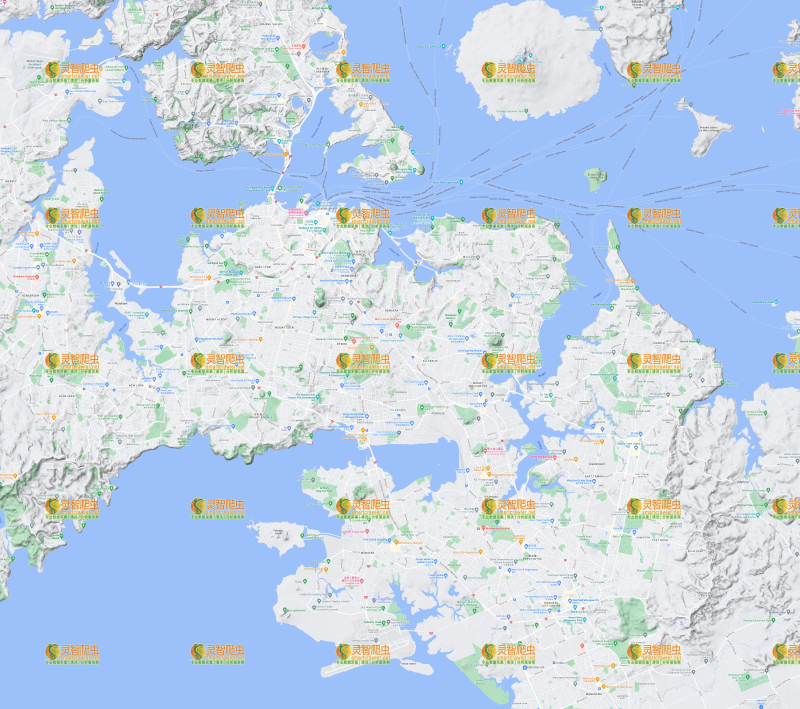 新西兰 奥克兰 Google 谷歌 高清地形图