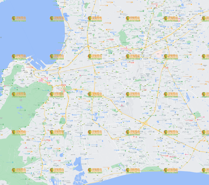 南非 开普敦 Google 谷歌 高清地图