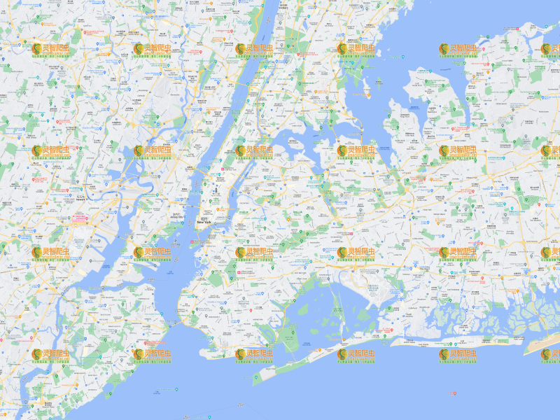 美国 纽约 Google 谷歌 高清地图