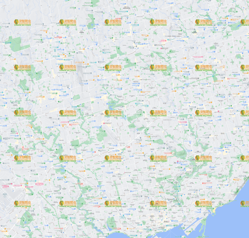 加拿大 多伦多 Google 谷歌 高清地形图