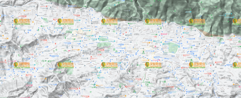委内瑞拉 加拉加斯 Google 谷歌 高清地形图