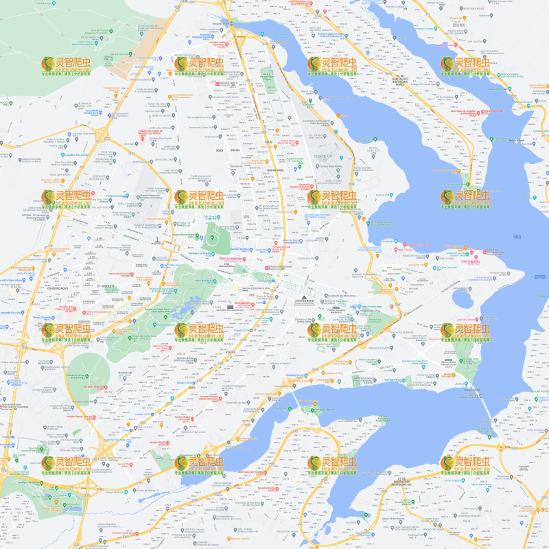 巴西 巴西利亚 Google 谷歌 高清地图
