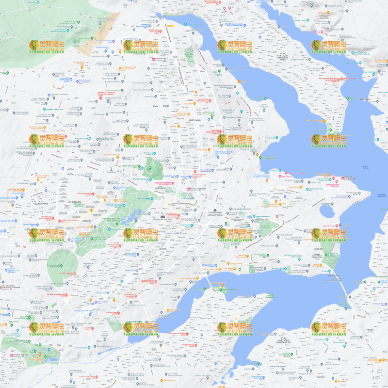 巴西 巴西利亚 Google 谷歌 高清地形图