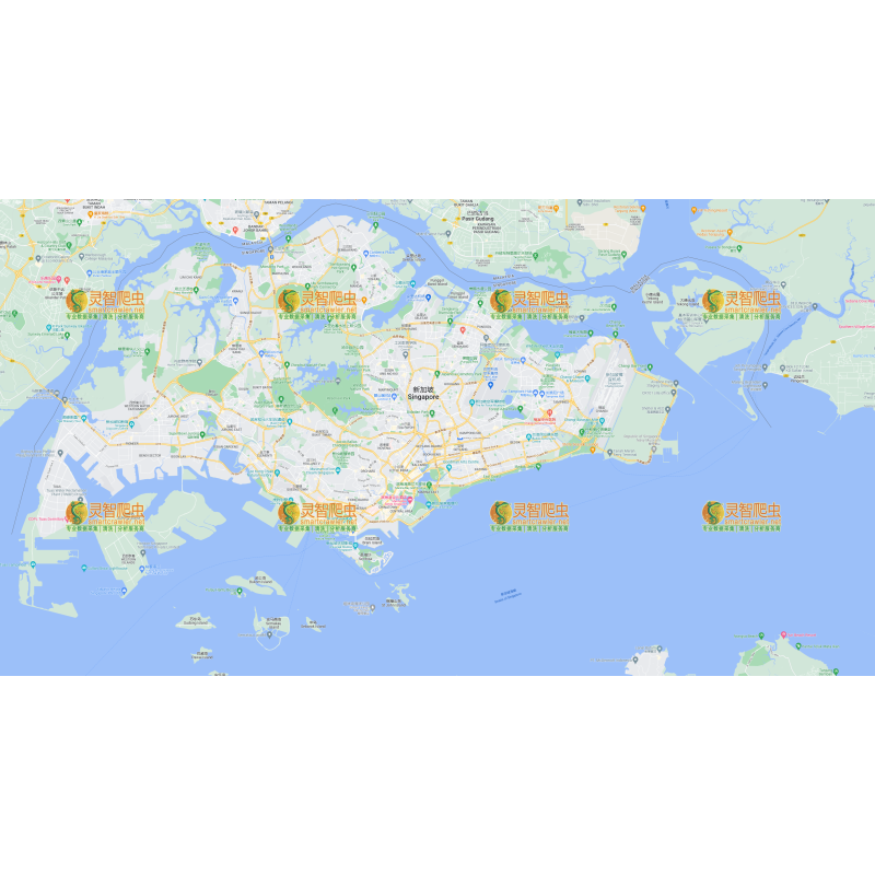 000_Google_地图_新加坡_13z.png