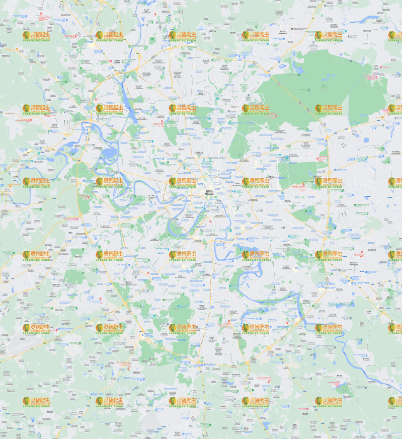 俄罗斯 莫斯科 Google 谷歌 高清地图