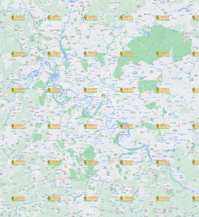 俄罗斯 莫斯科 Google 谷歌 高清地形图
