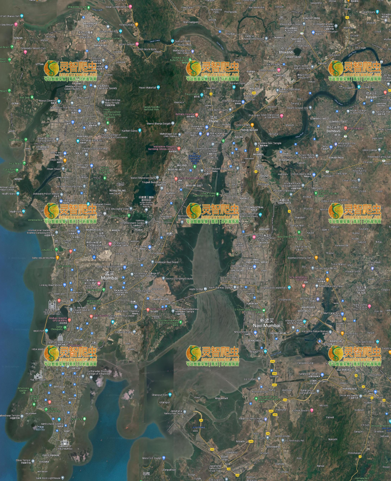 印度 孟买 Google 谷歌 高清卫星图